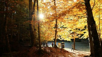 Temperaturi record în Europa: Franța a înregistrat cea mai călduroasă lună octombrie din ultimii 100 de ani