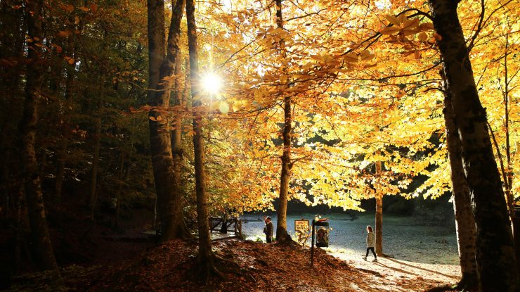 Temperaturi record în Europa: Franța a înregistrat cea mai călduroasă lună octombrie din ultimii 100 de ani