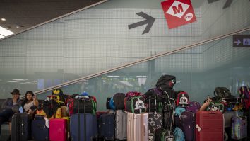 Ce încape într-o valiză. Aventura unei pisici găsite în bagajul unui pasager pe un aeroport din New York