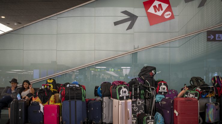 Ce încape într-o valiză. Aventura unei pisici găsite în bagajul unui pasager pe un aeroport din New York