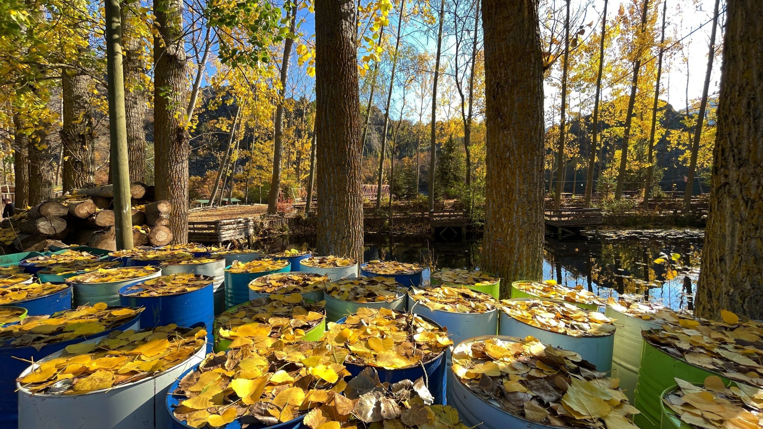 ANM: Temperaturi mai ridicate în cea mai mare parte a țării până la jumătatea lunii decembrie