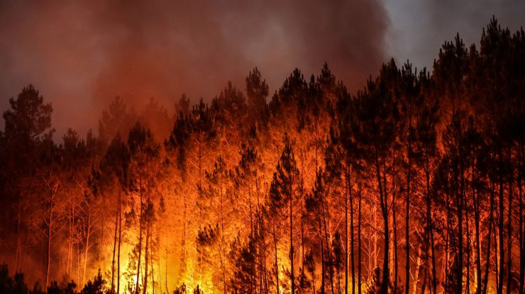 STUDIU. Fumul incendiilor de pădure ar putea încălzi pământul mai mult decât am crezut