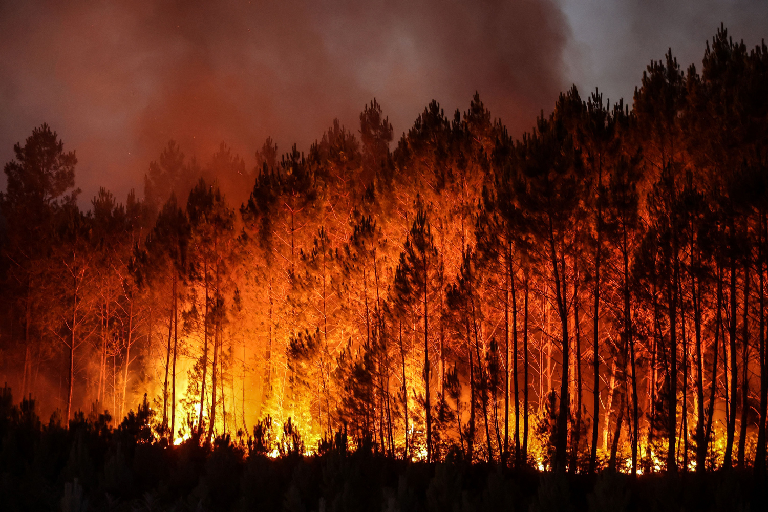 STUDIU. Fumul incendiilor de pădure ar putea încălzi pământul mai mult decât am crezut