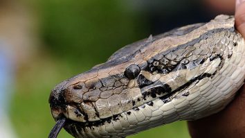 Doar unul din 10 angajați s-ar întoarce la birou după pandemie. Cum vor arăta job-urile în viitor