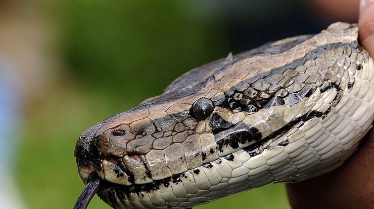 Doar unul din 10 angajați s-ar întoarce la birou după pandemie. Cum vor arăta job-urile în viitor