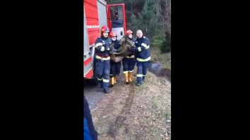 Un alt fel de „singur acasă”: Bambi, salvat dintr-un râu din judeţul Hunedoara