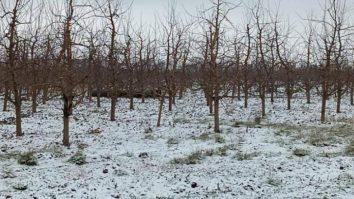 Rachetă, descoperită în nordul Republicii Moldova. Poliția de frontieră a restricționat accesul