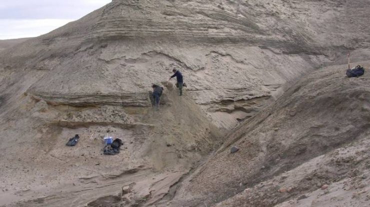 Cel mai vechi ADN recuperat vreodată a scos la iveală un ecosistem remarcabil vechi de două milioane de ani în Groenlanda
