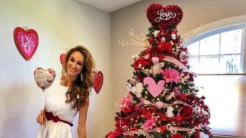 Femeia care a refuzat să se despartă de bradul ei și a inventat o nouă tradiție pentru a-l păstra pe tot parcursul anului