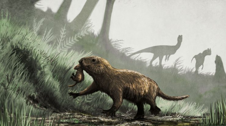 STUDIU. Au fost descoperite dovezi rare că dinozaurii se hrăneau cu mamifere