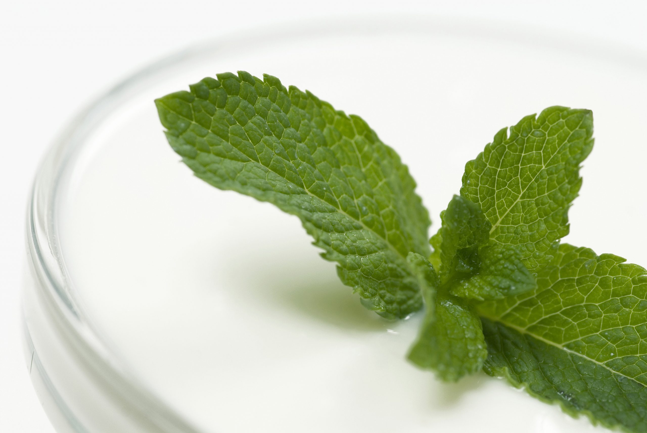 Consumul de iaurt ar putea fi soluția pentru respirația urât mirositoare