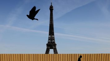 Porumbeii şi șobolanii, duşmanii marilor oraşe. Cum abordează metropole europene înmulțirea lor favorizată de schimbările climatice