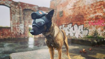 Cum să îți protejezi animalul de companie în siguranță în noaptea de Revelion de focurile de artificii