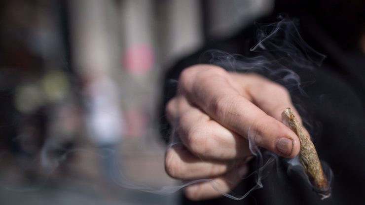 STUDIU. Consumatorii de marijuana sunt din ce în ce mai în vârstă și adesea de sex masculin