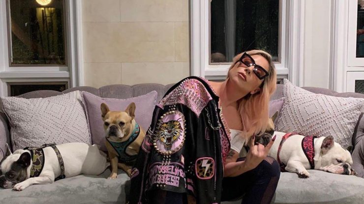 Femeia care a încercat să ceară recompensă pentru buldogii francezi furați ai lui Lady Gaga, condamnată la închisoare