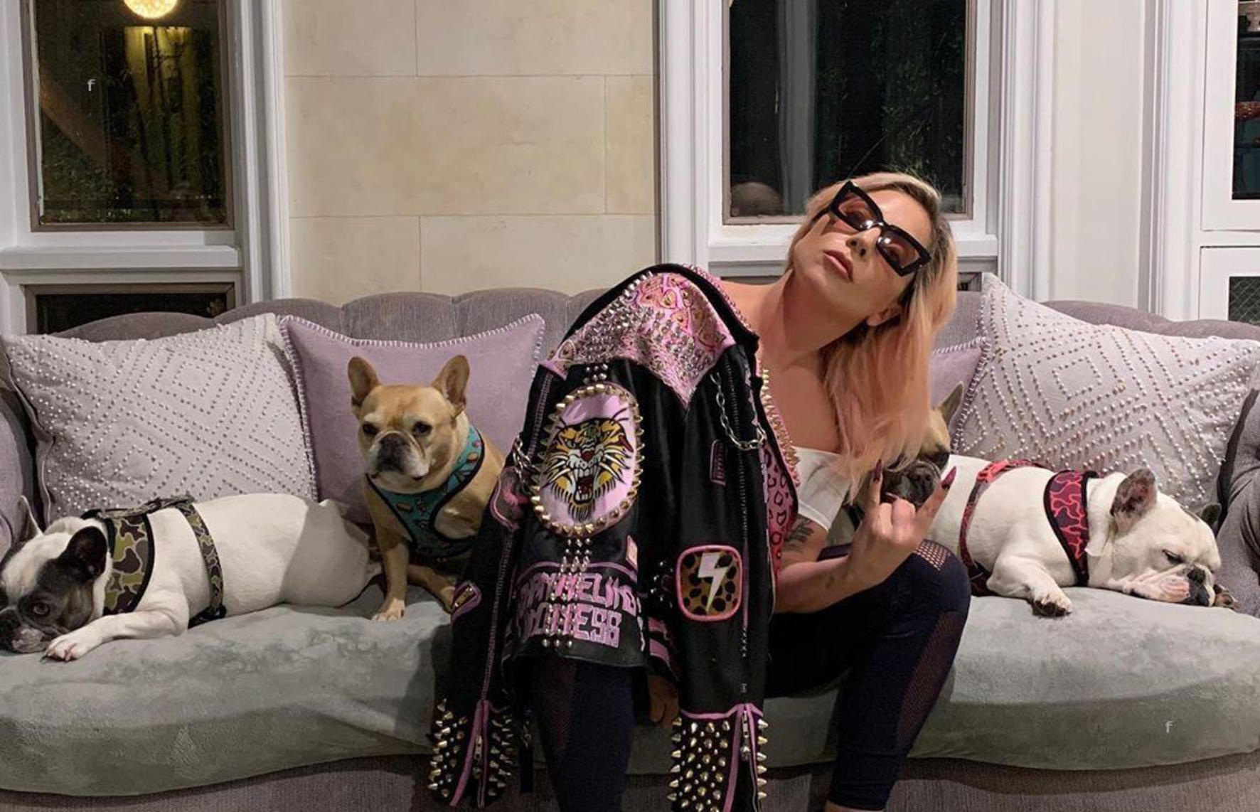 Femeia care a încercat să ceară recompensă pentru buldogii francezi furați ai lui Lady Gaga, condamnată la închisoare