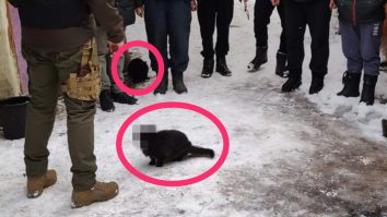 Serviciile secrete ucrainene au declarat joi că agenții săi au confiscat obiecte de propagandă găsite în interiorul bisericilor ortodoxe rusești