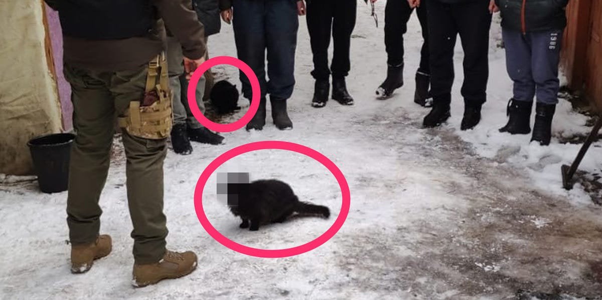 Serviciile secrete ucrainene au declarat joi că agenții săi au confiscat obiecte de propagandă găsite în interiorul bisericilor ortodoxe rusești