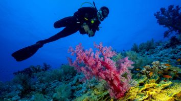 CONCLUZII la sfârșit de an. În 2022, Ștefan și-a depășit așteptările și speranțele pe toate planurile