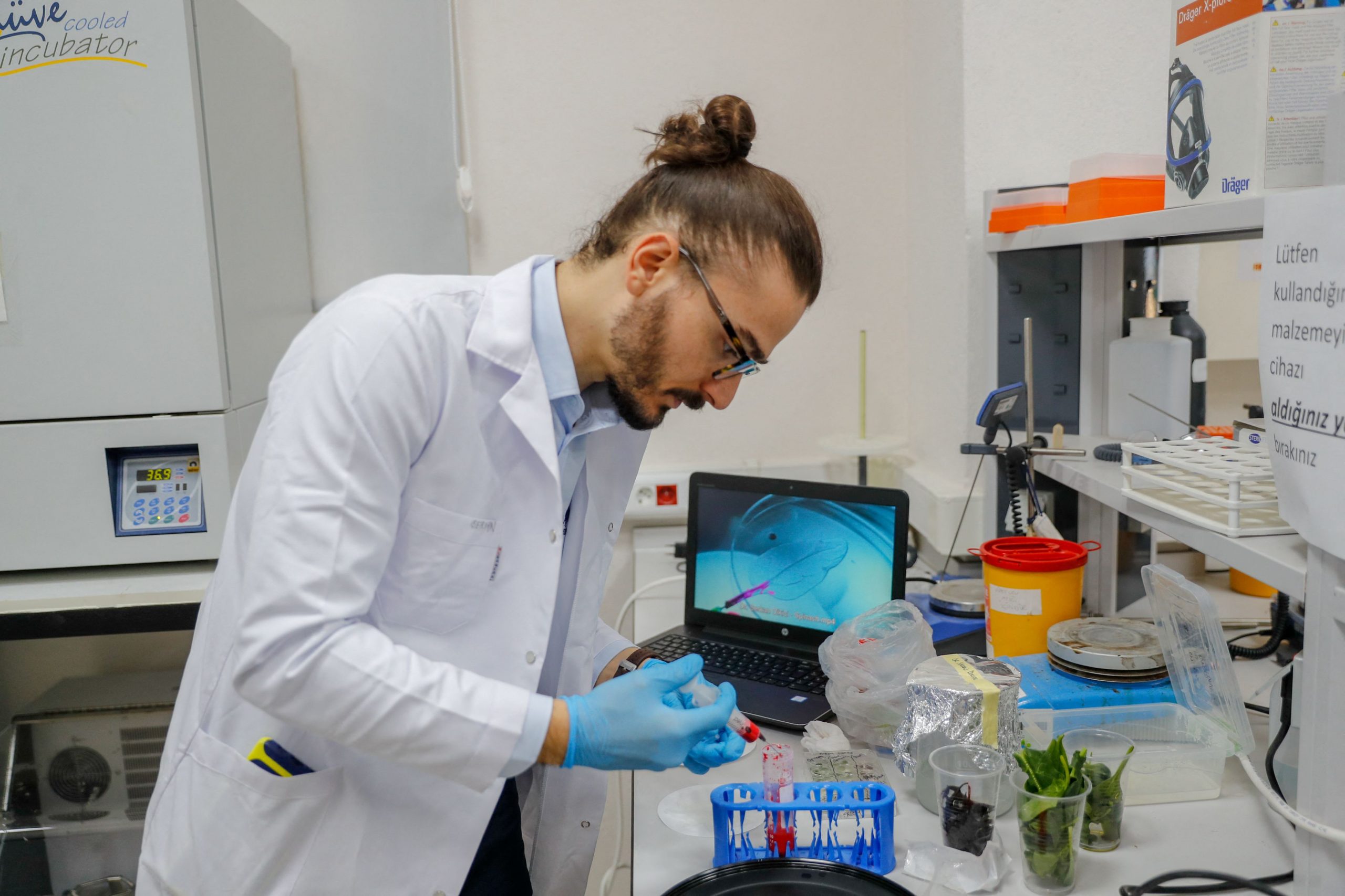 Care sunt țările din Europa care îi plătesc cel mai mult și cel mai puțin pe medici?