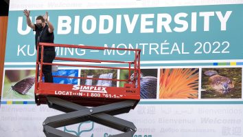 Summitul COP15 de la Montreal vizează un pact global pentru protejarea biodiversității