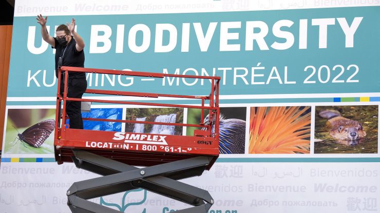 Summitul COP15 de la Montreal vizează un pact global pentru protejarea biodiversității