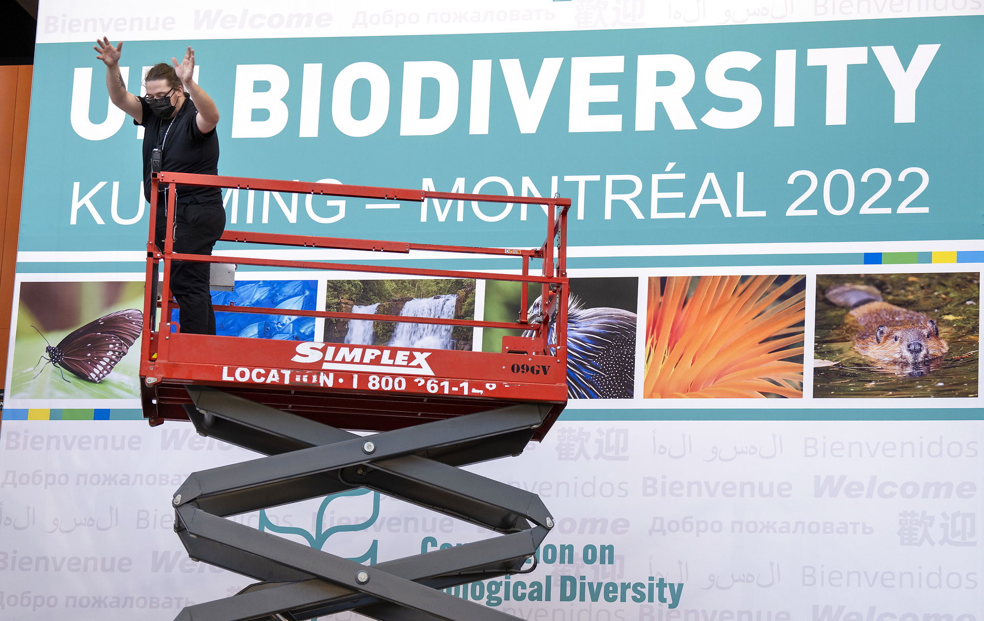 Summitul COP15 de la Montreal vizează un pact global pentru protejarea biodiversității