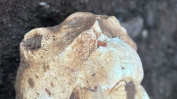 Statuie de marmură în mărime naturală a lui Hercule, dezgropată în timpul unor săpături la Roma