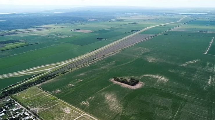 Chipul lui Leo Messi e peste tot în Argentina, chiar și în lanurile de porumb