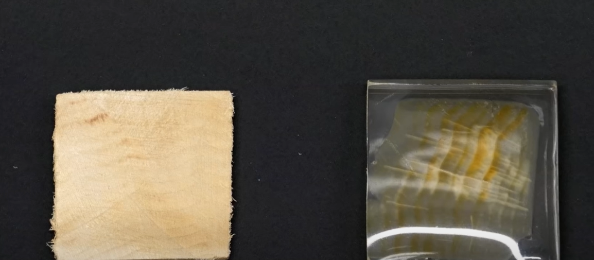 Lemnul transparent ar putea înlocui într-o zi produsele din plastic și sticlă, care reprezintă o amenințare majoră pentru planetă