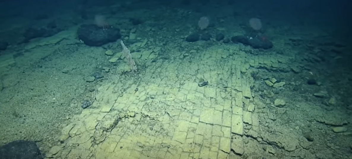 Descoperire neobișnuită: oamenii de știință au găsit un „drum din cărămidă galbenă” pe fundul oceanului