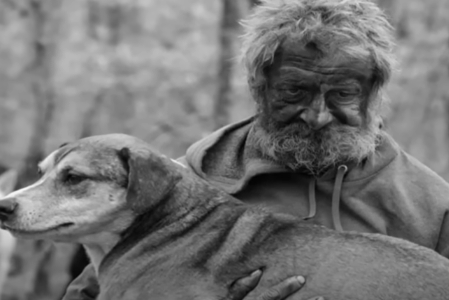 Povestea incredibilă a omului de munte care a trăit în pădure timp de 16 ani cu o haită de 31 de câini