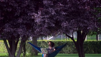 Primăriile de sector din București promit mai multe parcuri în 2023