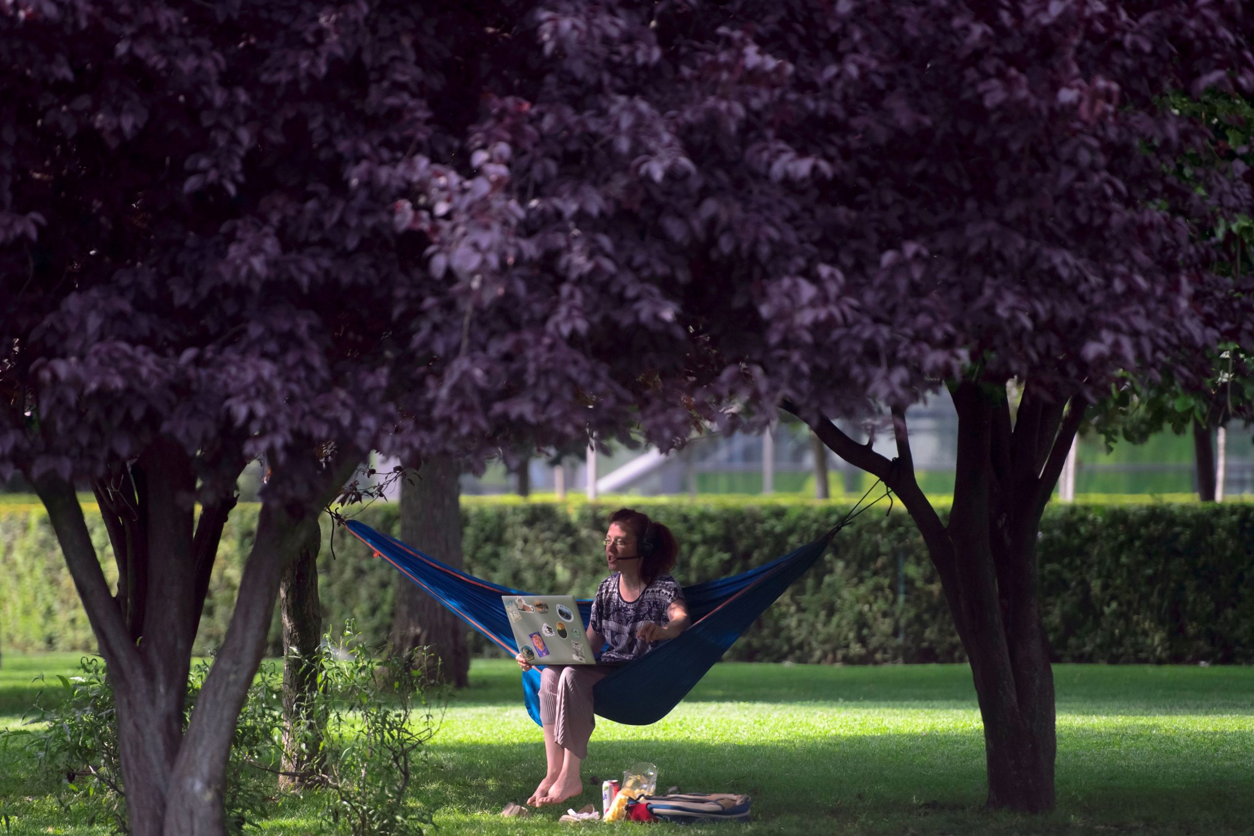 Primăriile de sector din București promit mai multe parcuri în 2023