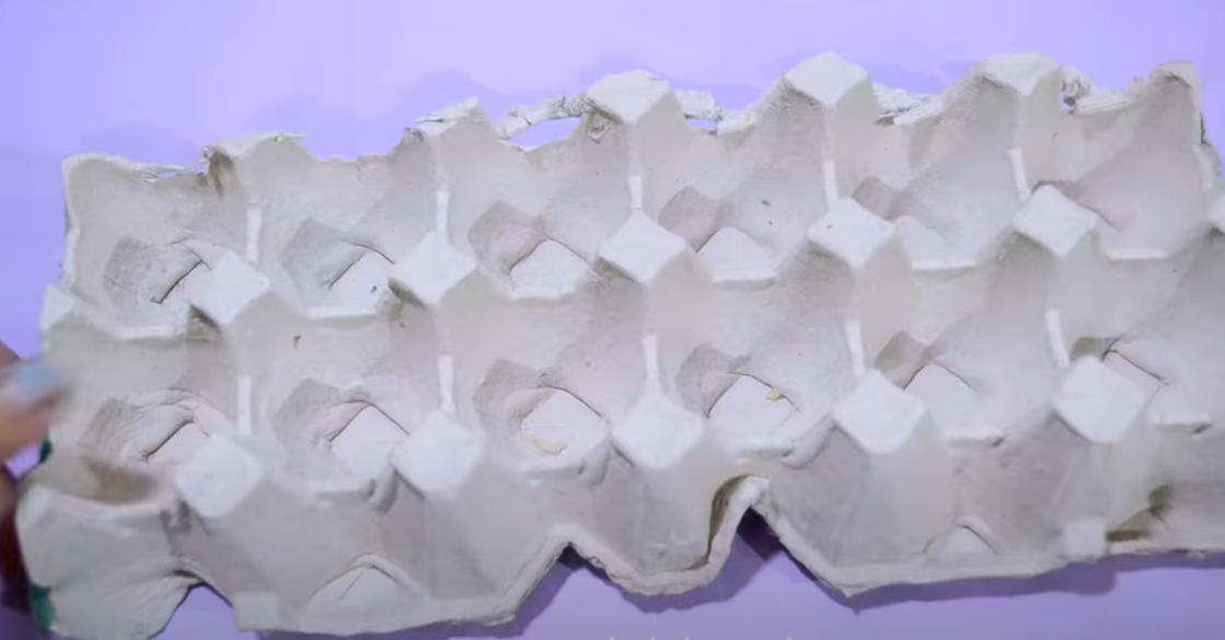 De la tăvițe pentru ouă la capace de plastic pentru cutii de mâncare: Deșeurile pe care le-ai putea folosi pentru a-ți izola casa, potrivit oamenilor de știință