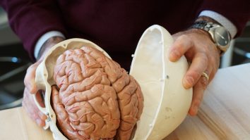 STUDIU. Creierul unor oameni are mai multe pliuri decât al altora. Care ar fi cauza