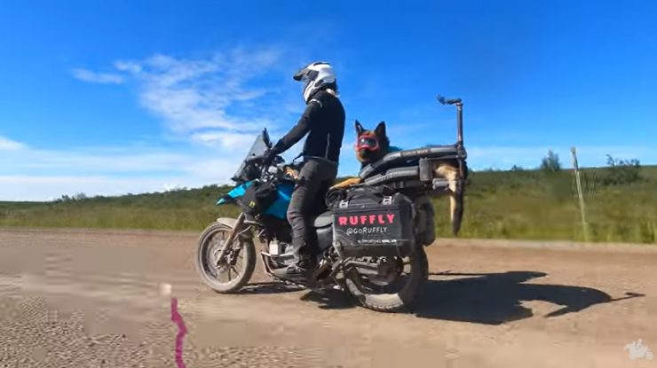 O femeie călătorește în jurul lumii cu ciobănescul ei german