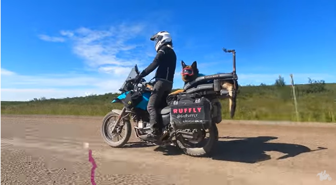 O femeie călătorește în jurul lumii cu ciobănescul ei german