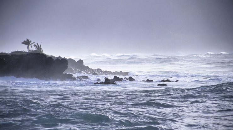 Un bărbat supraviețuiește miraculos 24 de zile pierdut pe mare. Incredibil ce trebuit să mănânce pentru a trăi