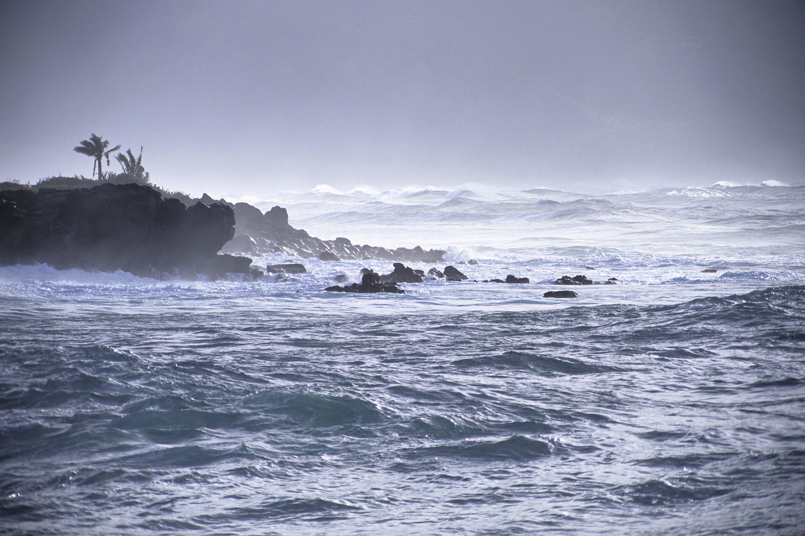 Un bărbat supraviețuiește miraculos 24 de zile pierdut pe mare. Incredibil ce trebuit să mănânce pentru a trăi
