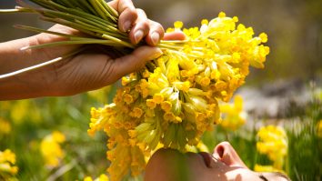 Un simplu test de miros poate ajuta la depistarea semnelor de îmbătrânire nesănătoasă și fragilitate