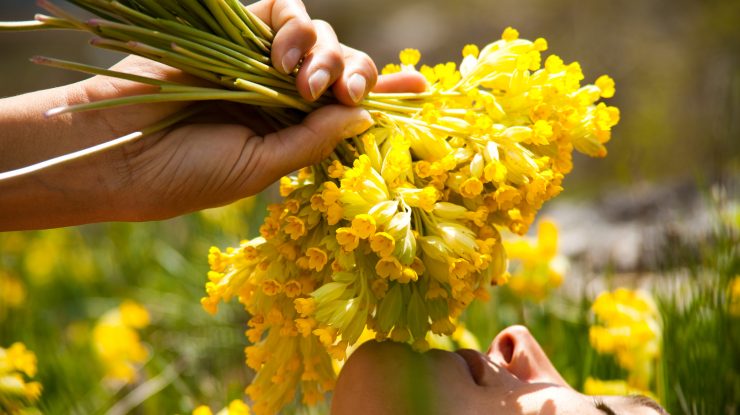 Un simplu test de miros poate ajuta la depistarea semnelor de îmbătrânire nesănătoasă și fragilitate