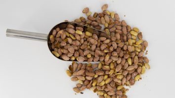 STUDIU. Consumul de arahide fierte poate vindeca copiii de această alergie potențial fatală