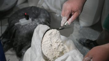 Făina de greieri a apărut în România. Cât costă un kilogram