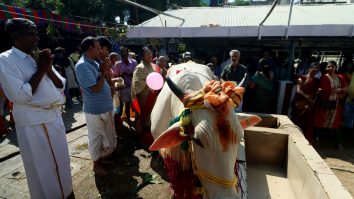 Toate problemele lumii ar fi rezolvate dacă nu s-ar mai vărsa sânge de vacă, spune un judecător