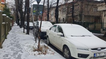 Atenție, cad copaci! Arborii din Parcul Herăstrău au căzut din cauza viscolului