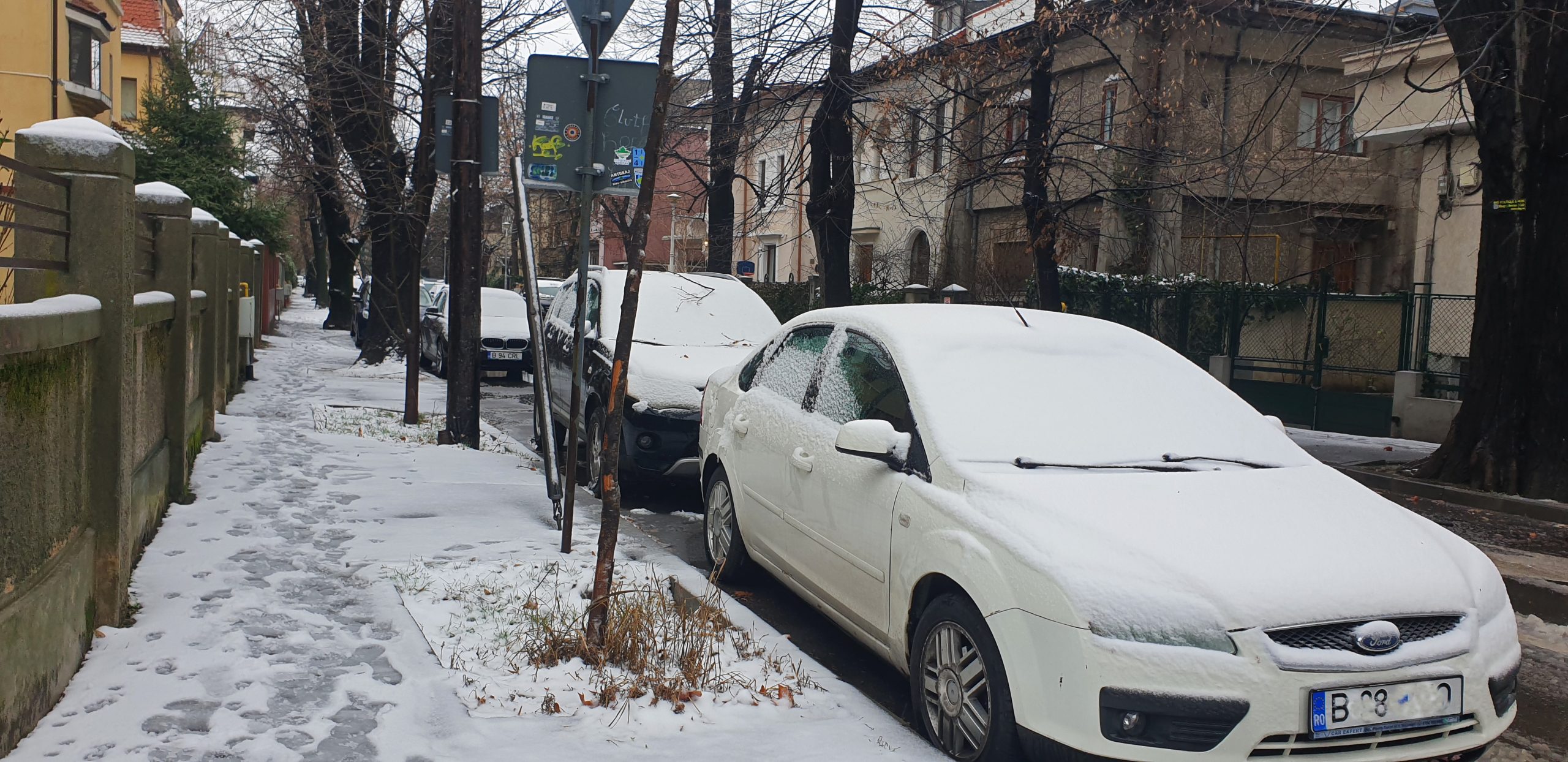 Atenție, cad copaci! Arborii din Parcul Herăstrău au căzut din cauza viscolului