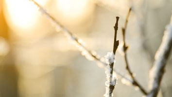 Prognoza meteo în luna februarie. Temperaturile vor fi peste mediile normale ale perioadei