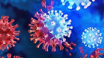 Oamenii de știință au descoperit primii microbi care pot mânca doar virusuri