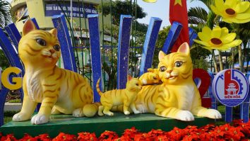 Anul Nou Lunar din Vietnam va sărbători pisica în locul iepurelui